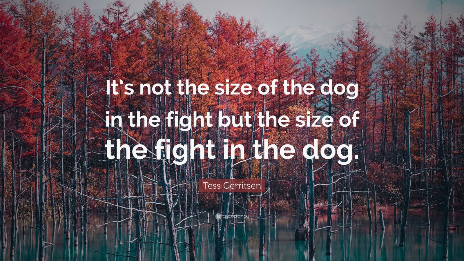 Tess Gerritsen Quote: “It’s not the size of the dog in the fight but ...