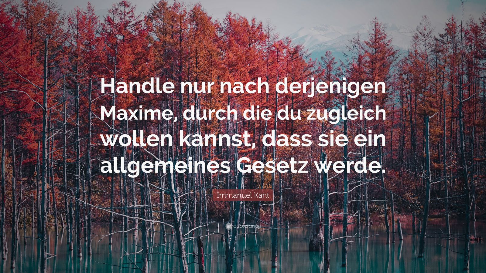 Handle Nur Nach Derjenigen Maxime Immanuel Kant Quote: “Handle nur nach derjenigen Maxime, durch die du