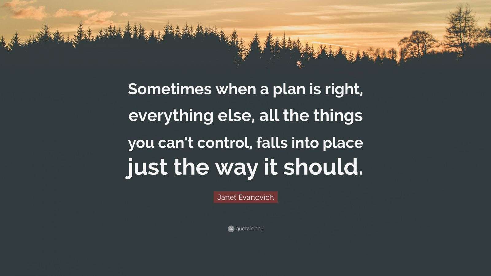 Janet Evanovich Quote: “Sometimes when a plan is right, everything else