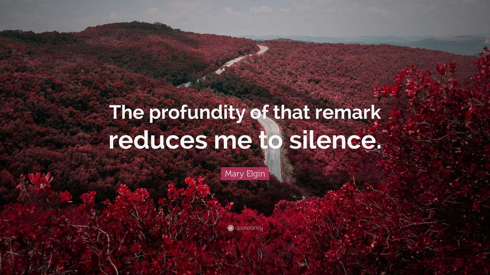 Mary Elgin Quote “The profundity of that remark reduces me to silence.”