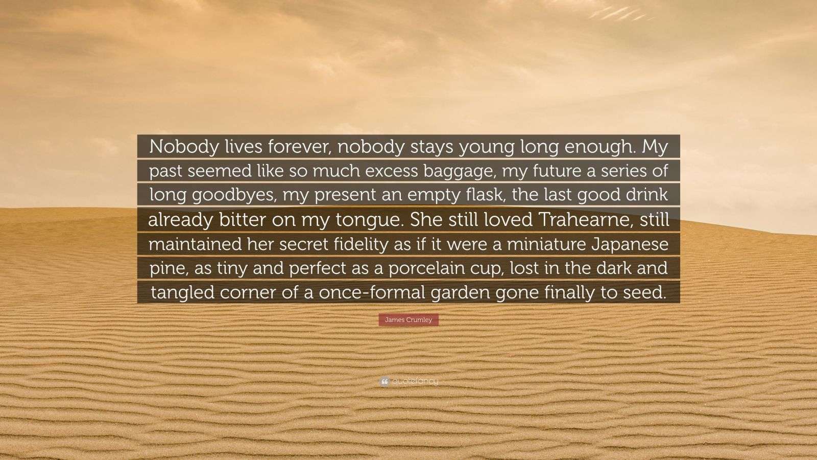 James crumley critical essays 08 image