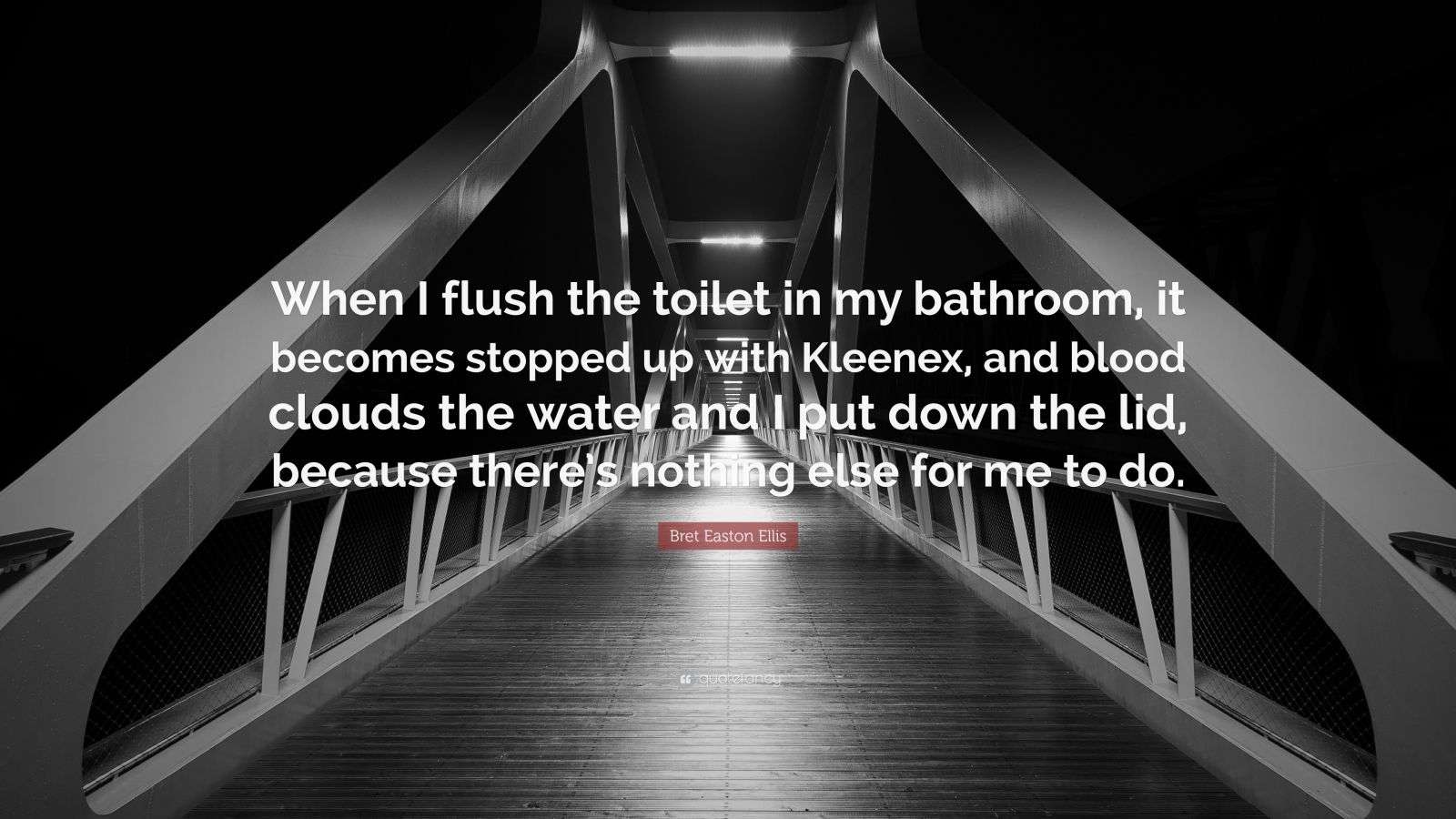 Bret Easton Ellis Quote “When I flush the toilet in my bathroom, it