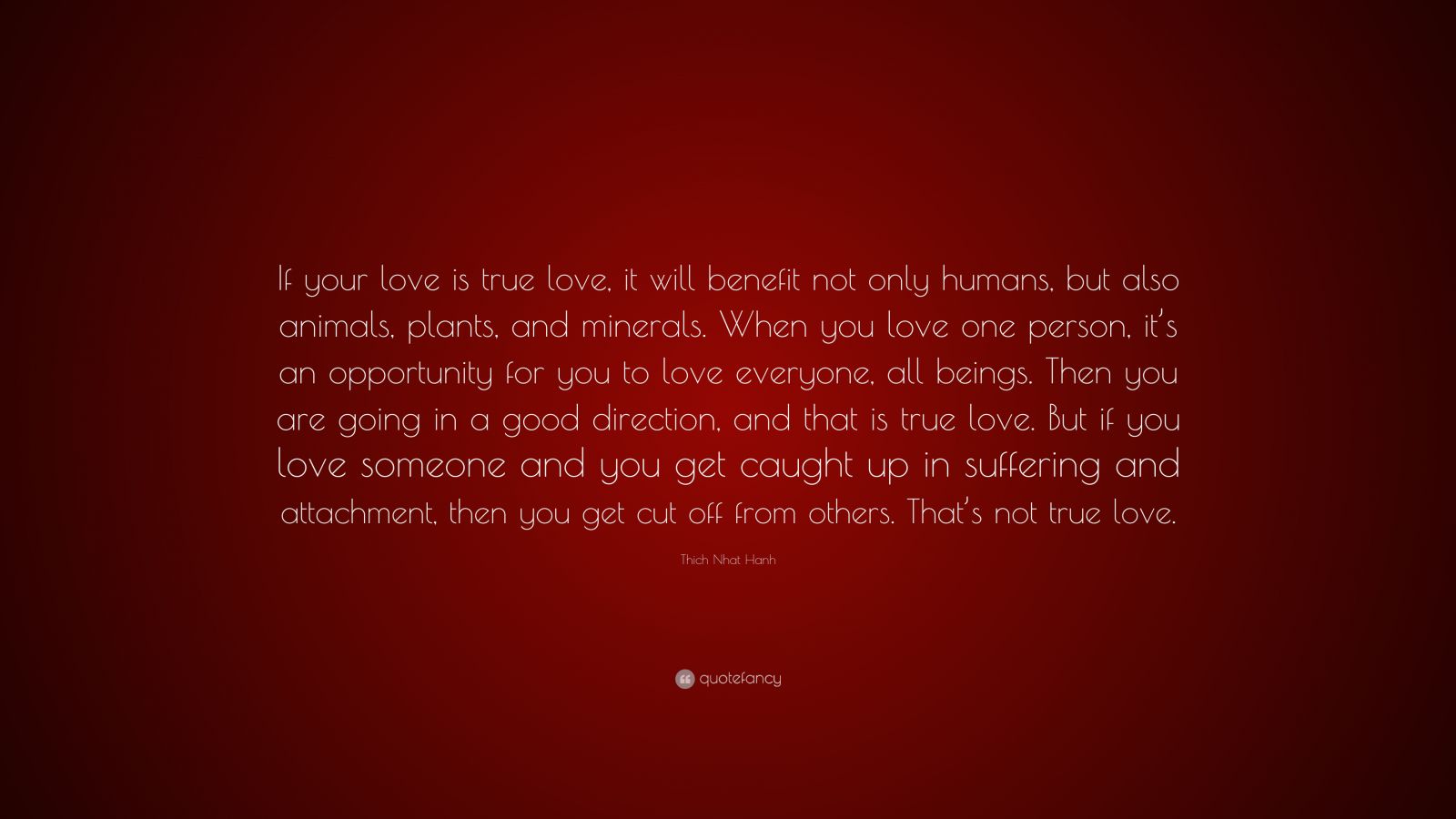 Thich Nhat Hanh Quote “If your love is true love, it will benefit not