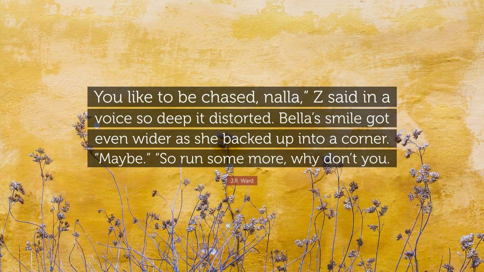J R Ward Quote You Like To Be Chased Nalla Z Said In A Voice So Deep It Distorted Bella S Smile Got Even Wider As She Backed Up Int