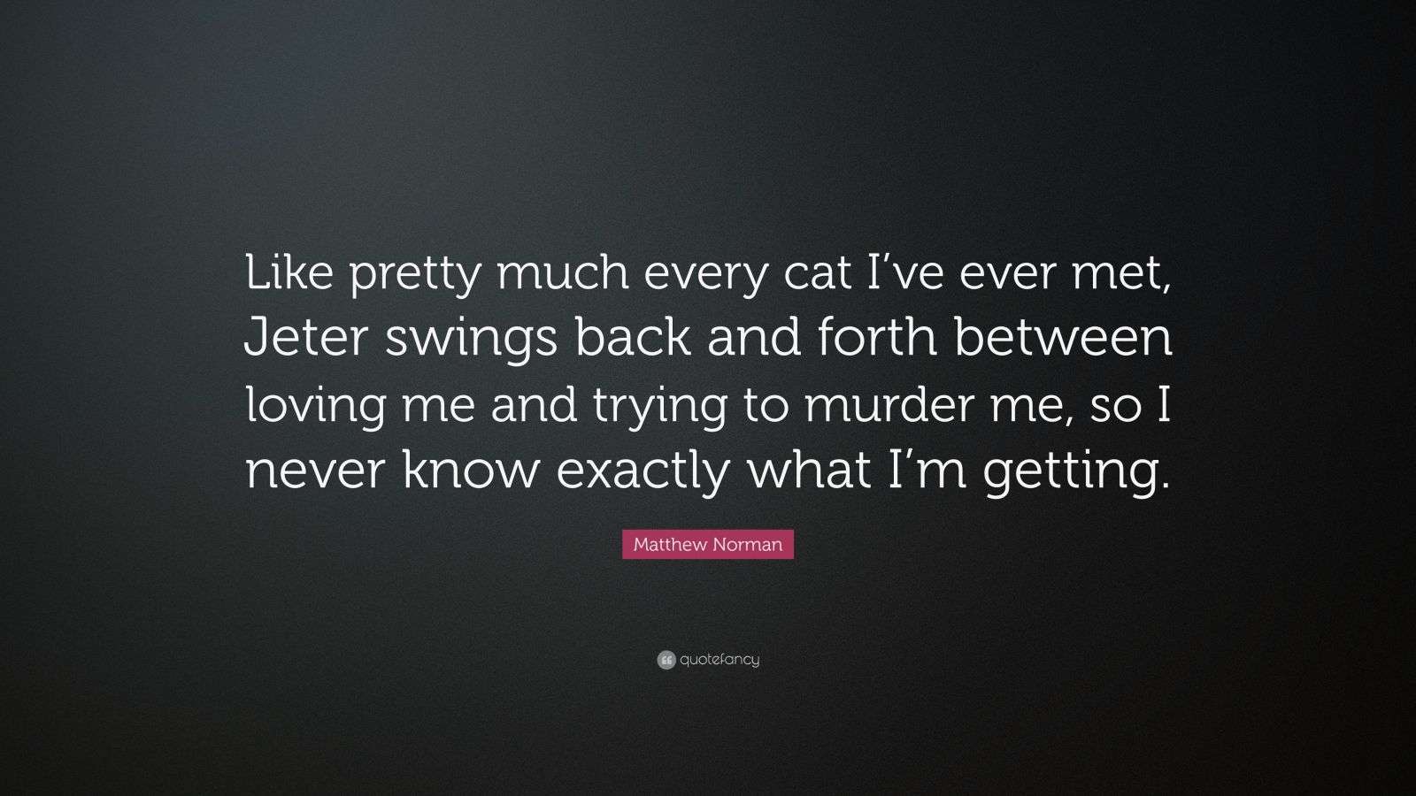 Matthew Norman Quote “Like pretty much every cat I’ve ever met, Jeter