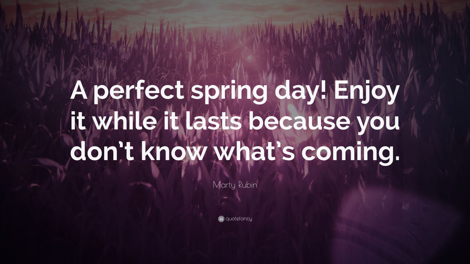 Marty Rubin Quote: “A perfect spring day! Enjoy it while it lasts ...