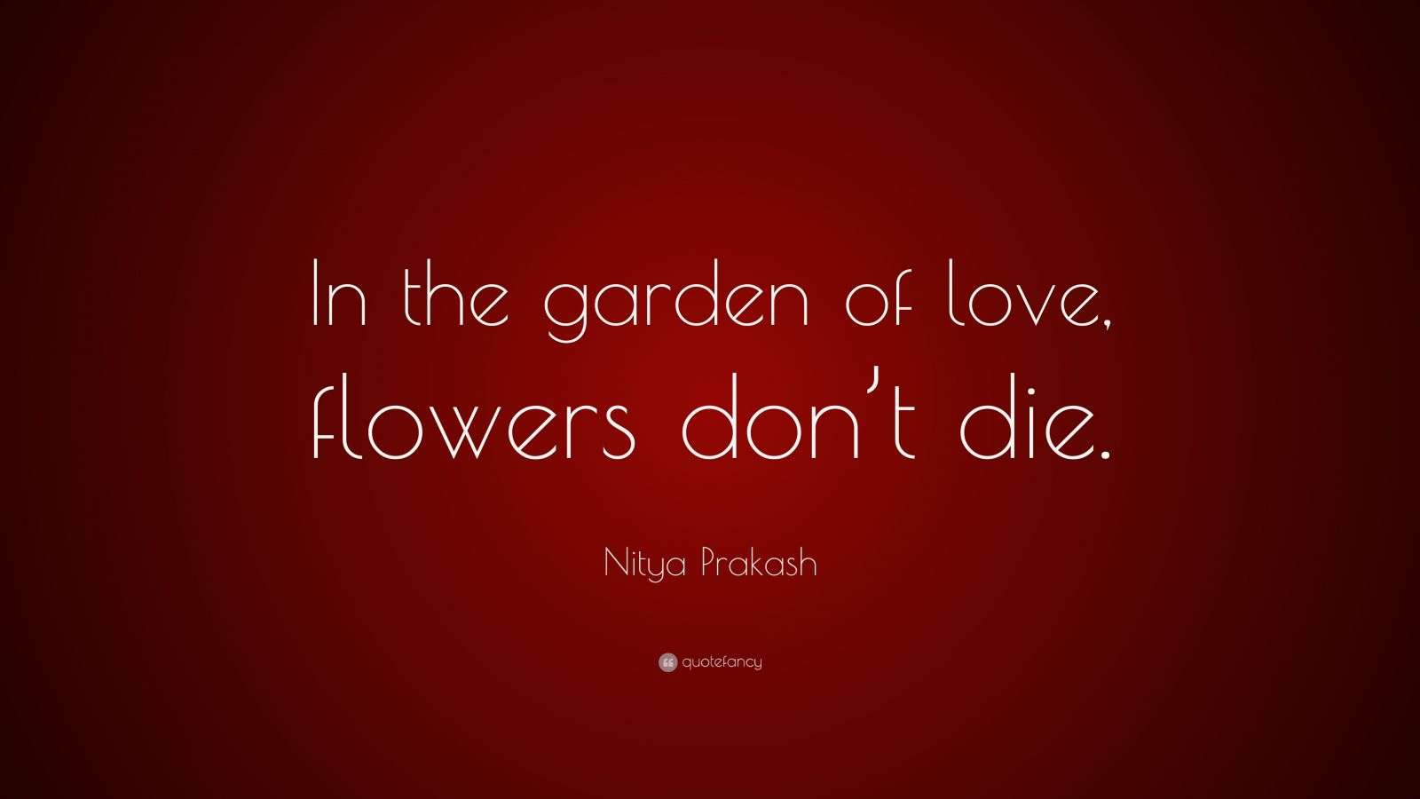 Nitya Prakash Quote “In the garden of love, flowers don’t die.”