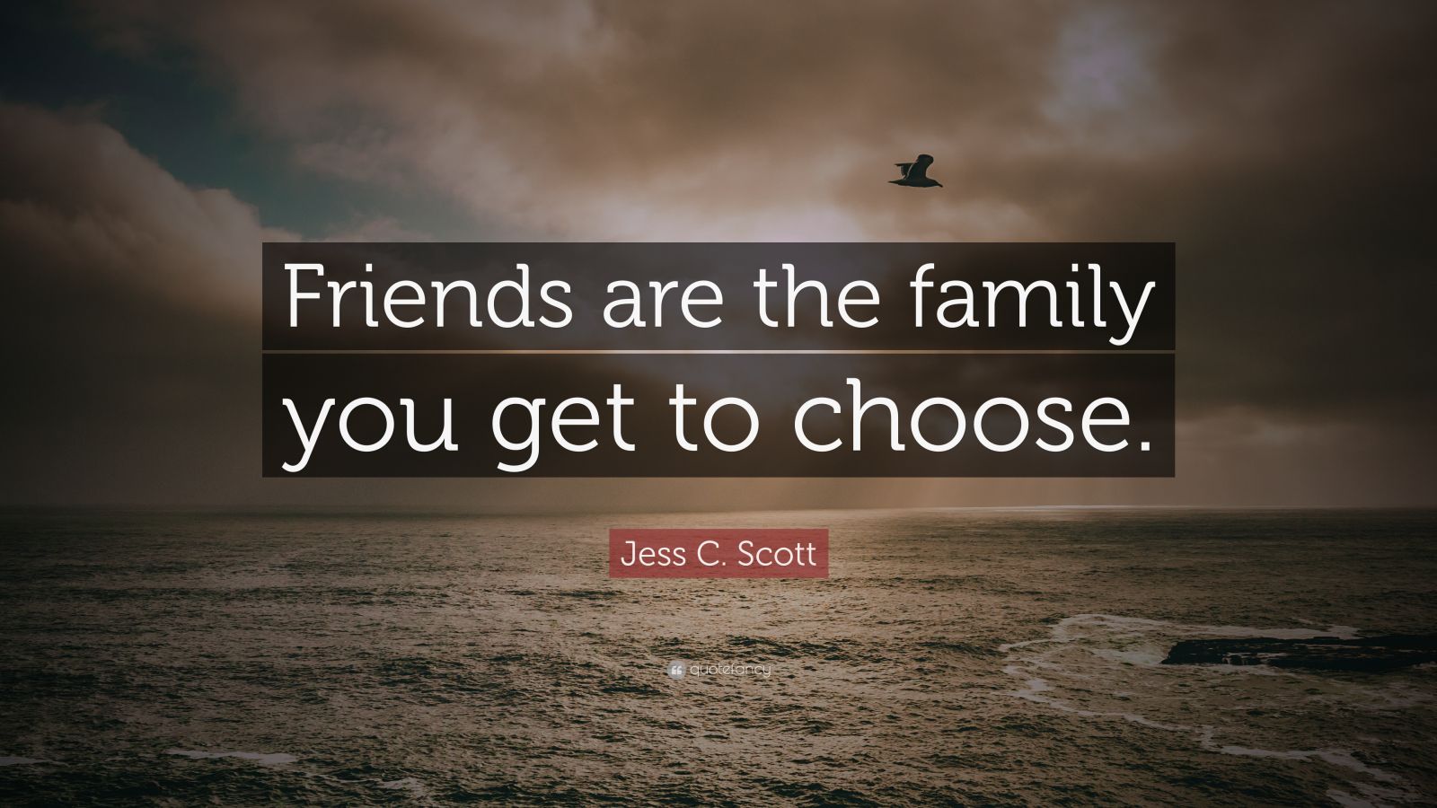 Jess C. Scott Quote: “Friends are the family you get to choose.” (2