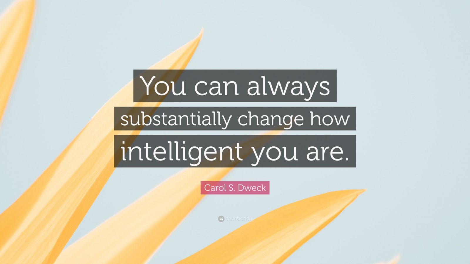 Carol S. Dweck Quote: “You can always substantially change how ...