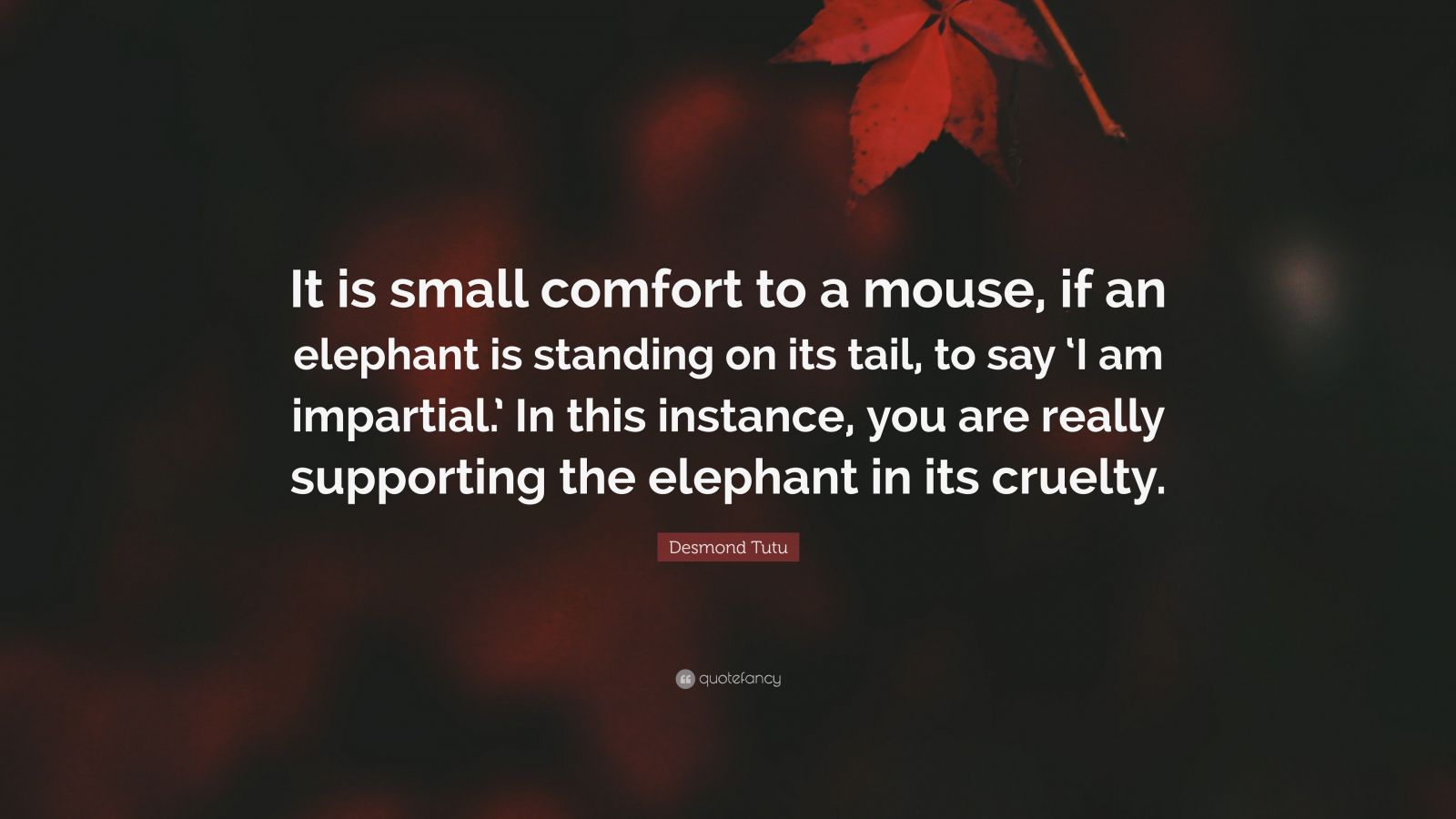 Desmond Tutu Quote It Is Small Comfort To A Mouse If An Elephant Is Standing On Its Tail To Say I Am Impartial In This Instance You A