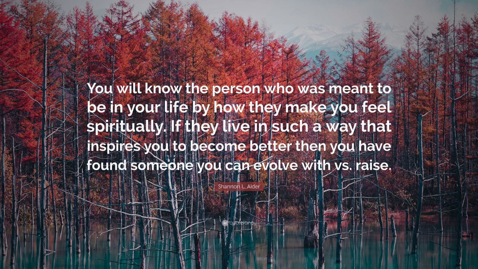 Shannon L. Alder Quote: “You will know the person who was meant to be ...