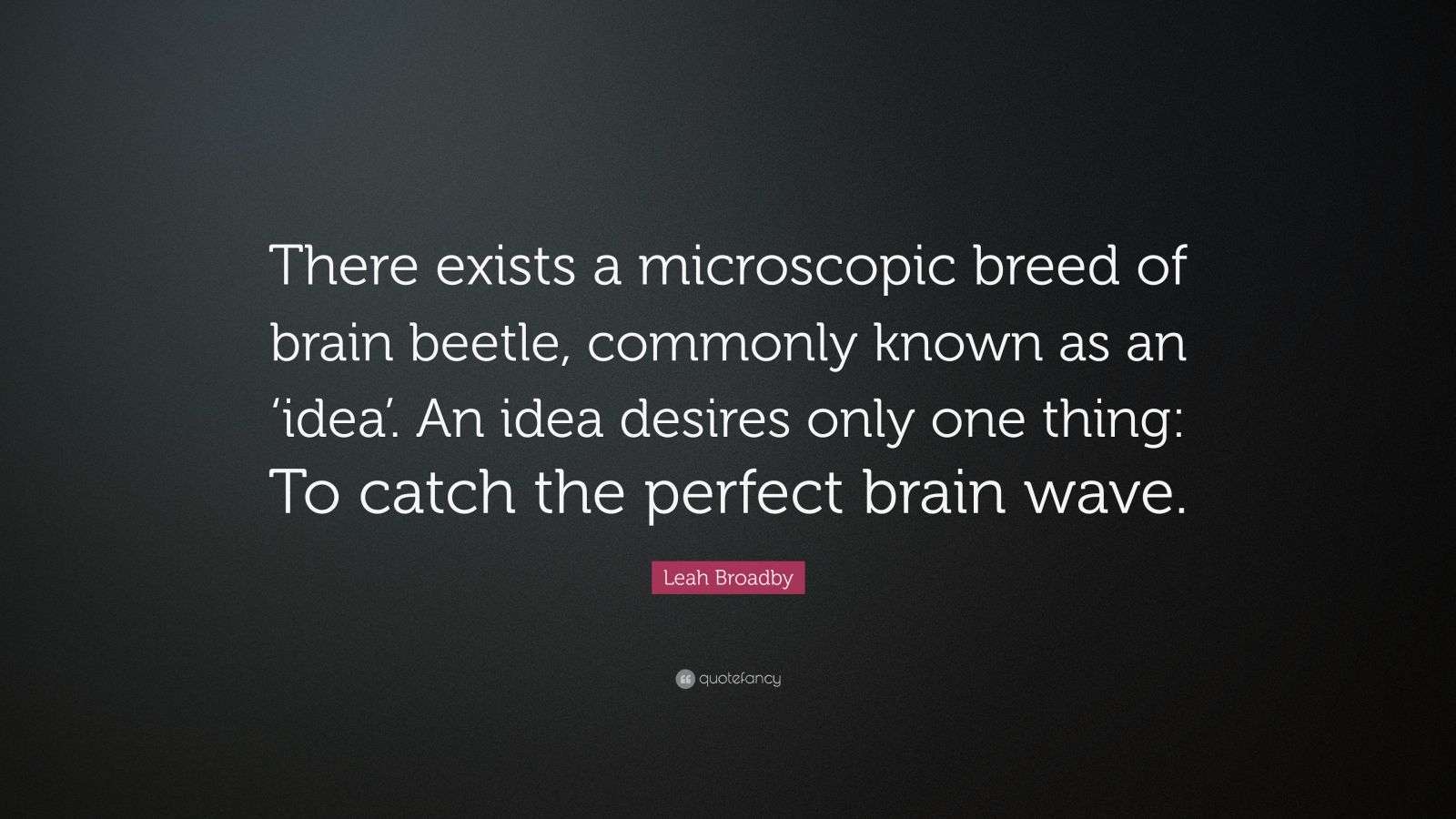 Leah Broadby Quote: “There exists a microscopic breed of brain beetle ...