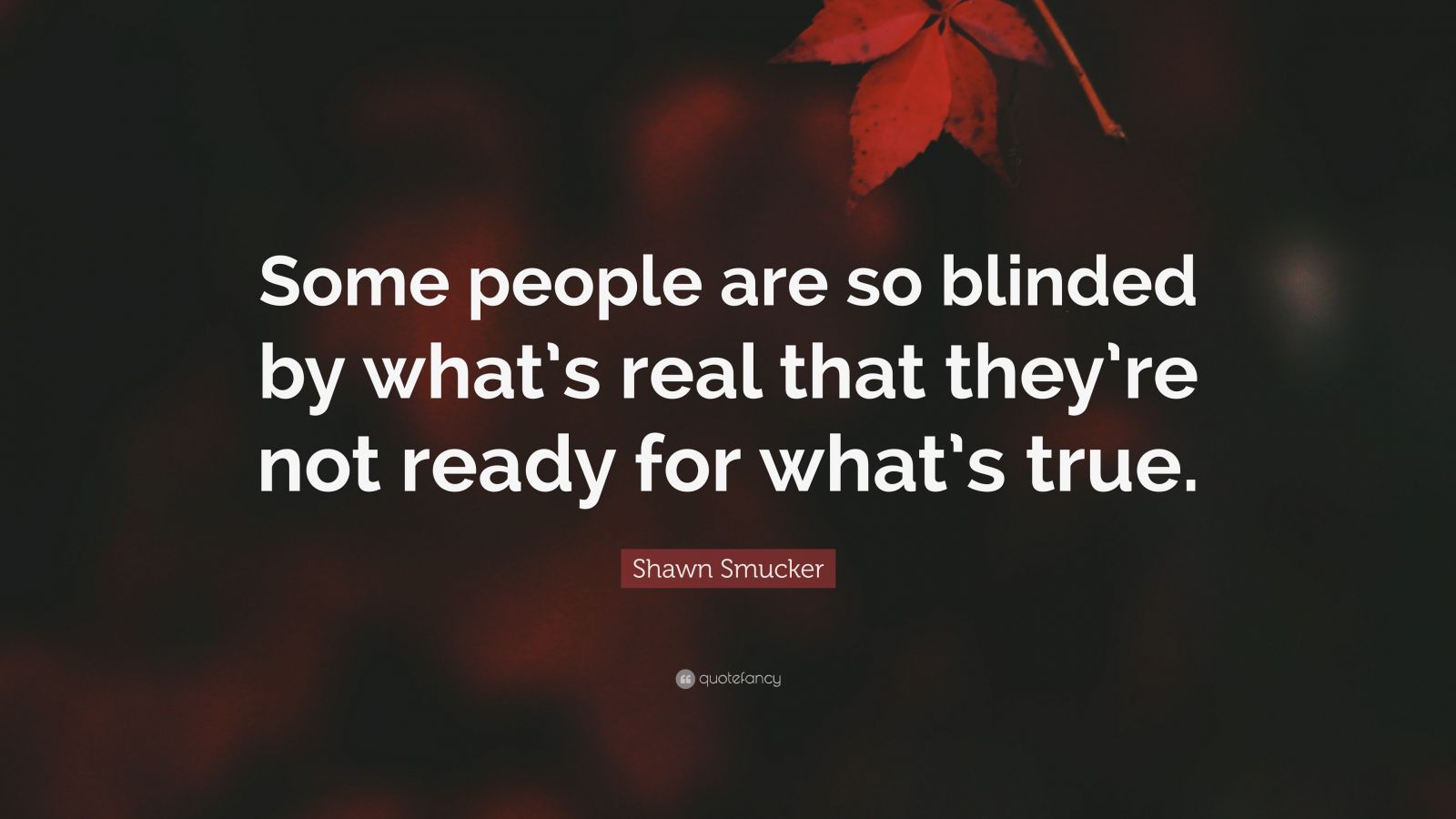 Shawn Smucker Quote: “Some people are so blinded by what’s real that ...