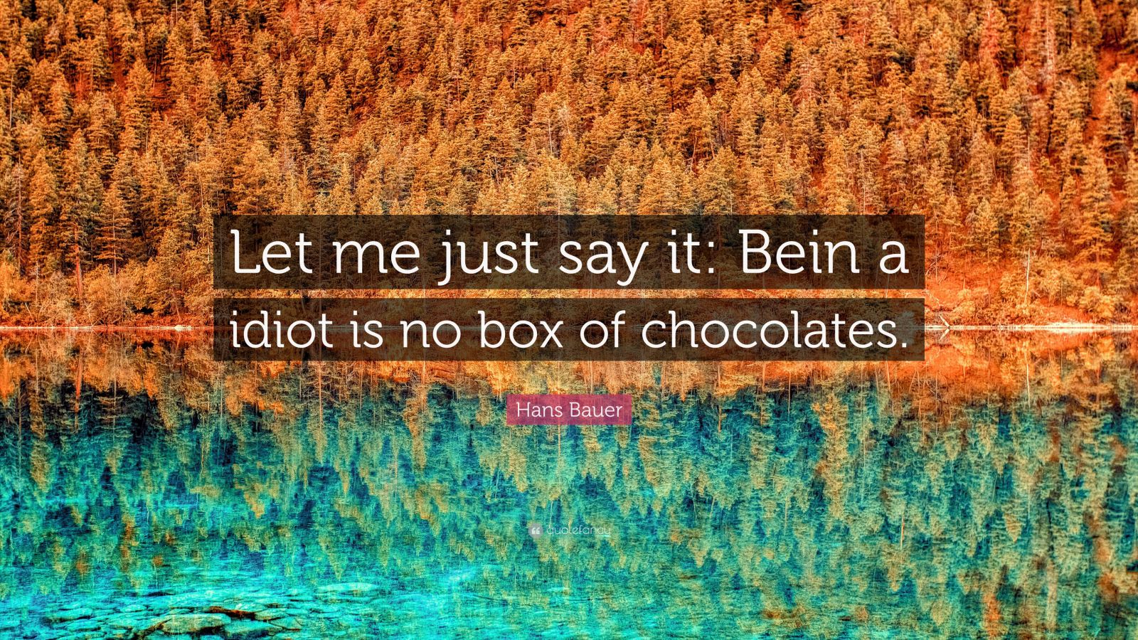 Hans Bauer Quote: “Let me just say it: Bein a idiot is no box of ...