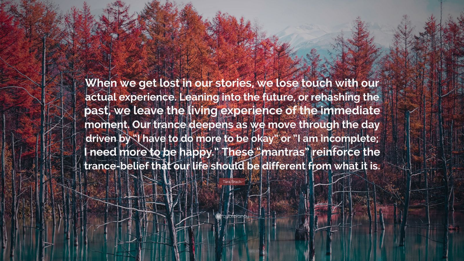 Tara Brach Quote: “When we get lost in our stories, we lose touch with ...