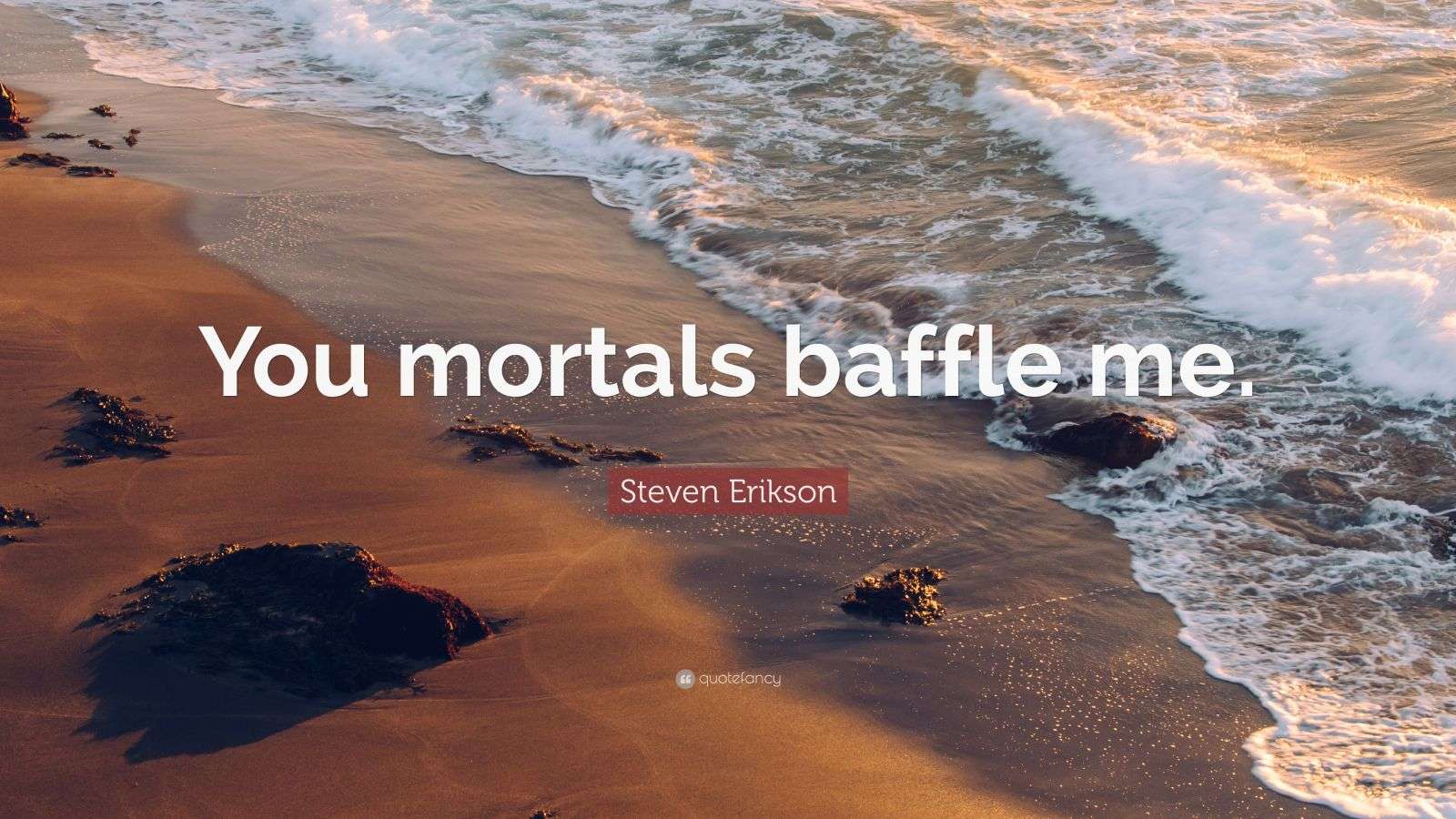Steven Erikson Quote “You mortals baffle me.”