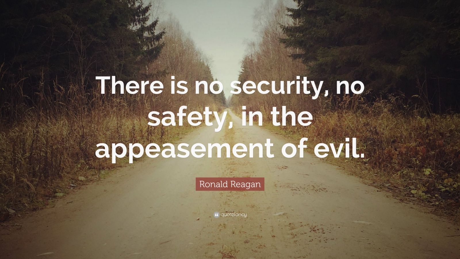Ronald Reagan Quote: “There is no security, no safety, in the