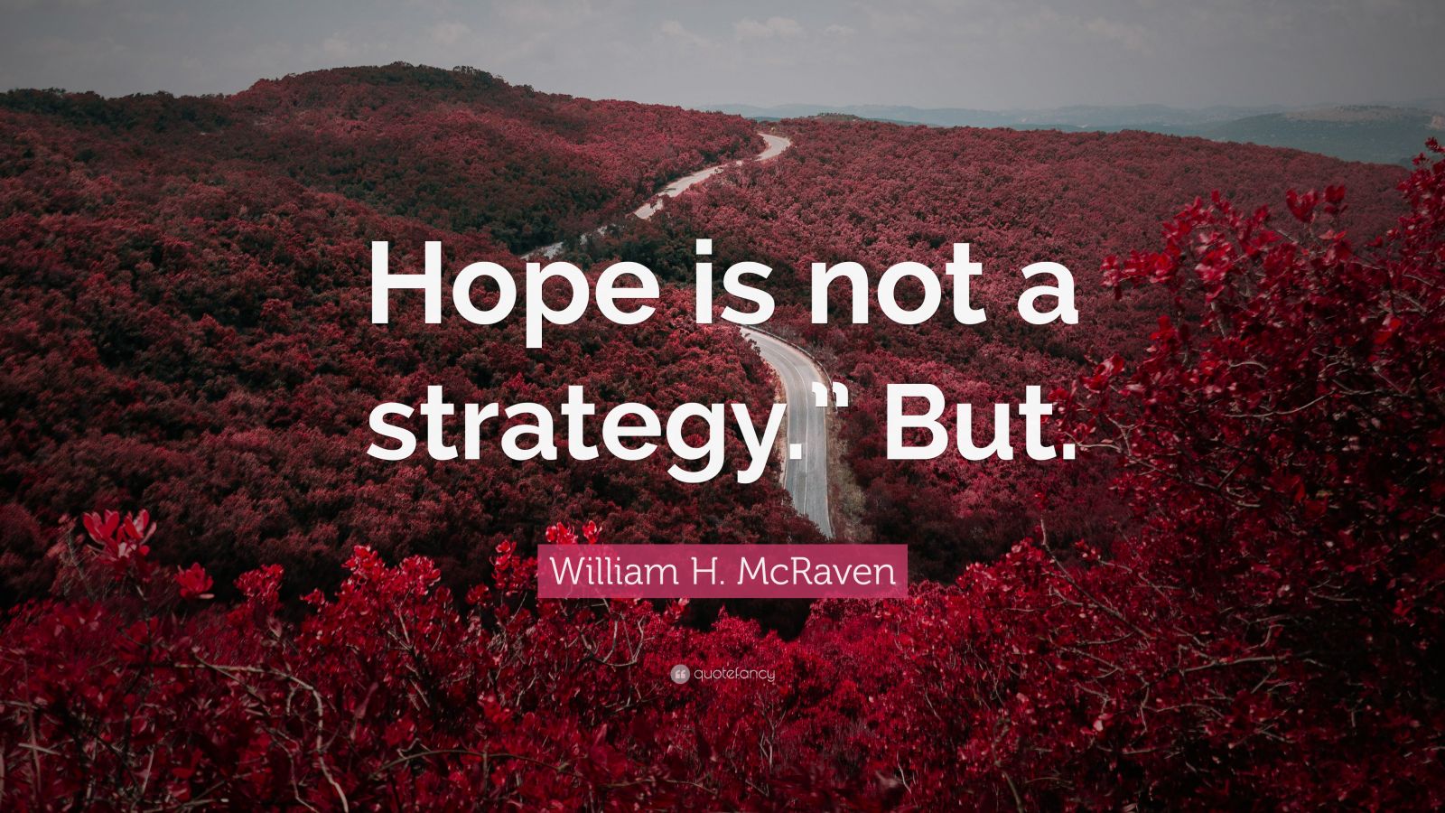 William H. McRaven Quote: “Hope is not a strategy.” But.”