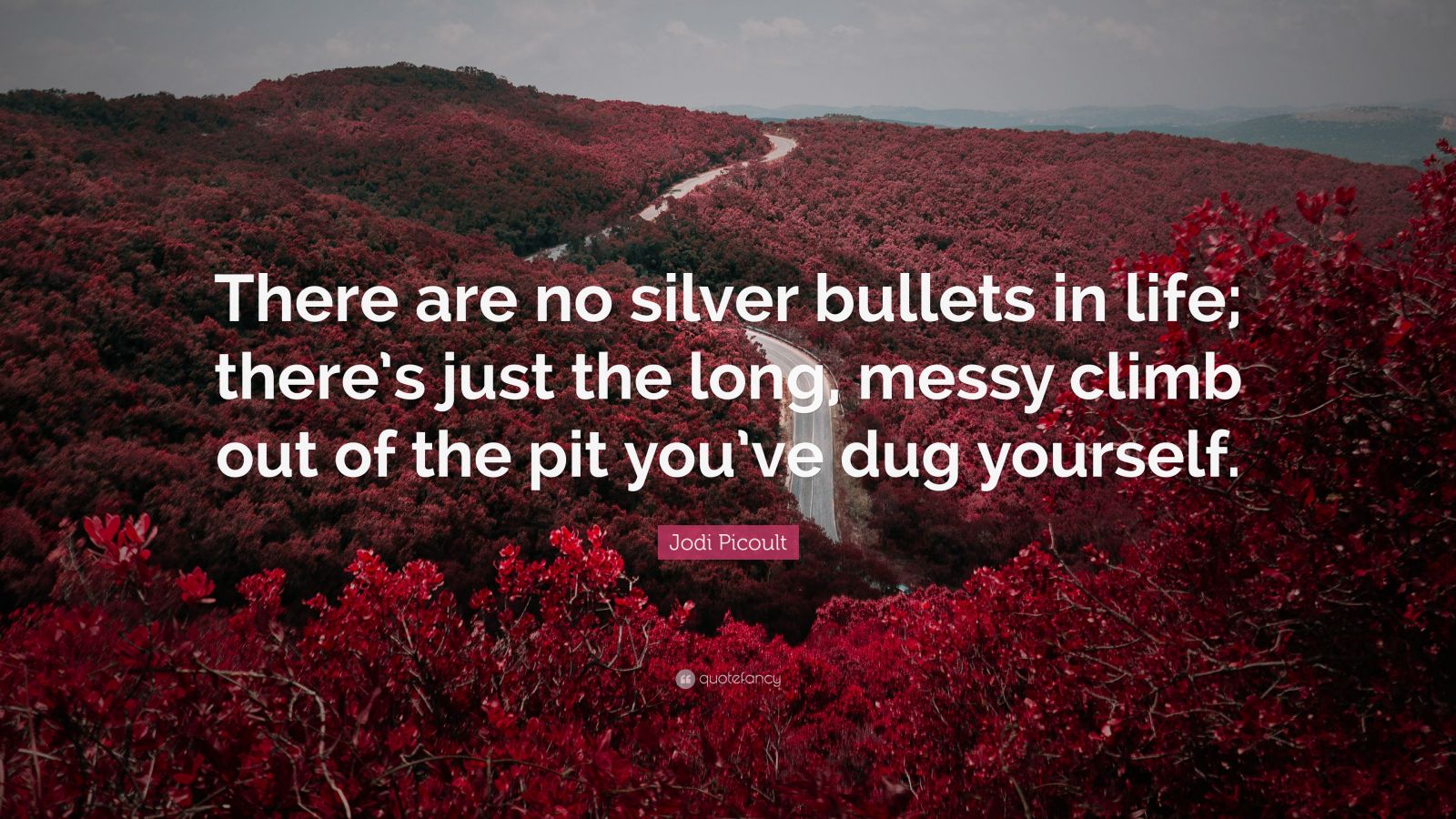 Jodi Picoult Quote “There are no silver bullets in life; there’s just