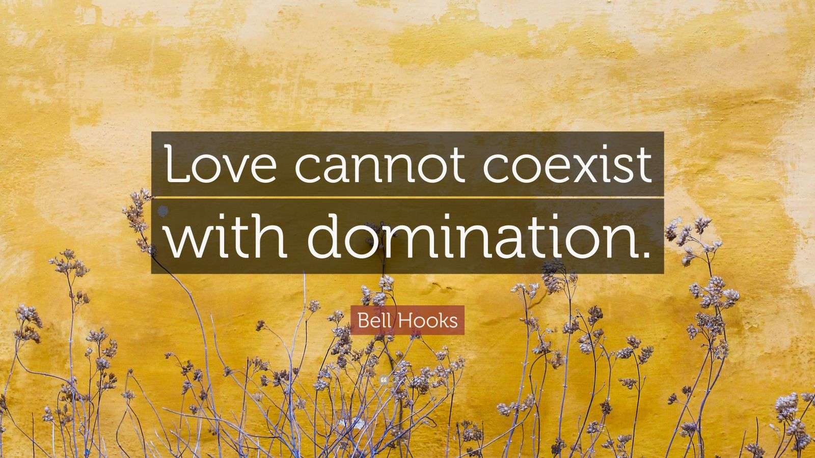 Bell Hooks Quote “Love cannot coexist with domination.”