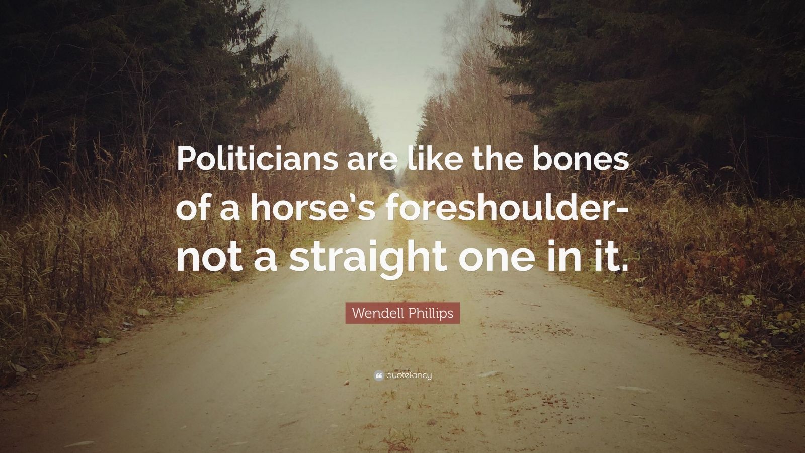 Wendell Phillips Quote: "Politicians are like the bones of a horse's foreshoulder-not a straight ...