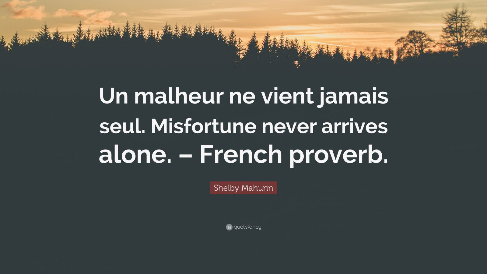 Shelby Mahurin Quote: “Un malheur ne vient jamais seul. Misfortune ...