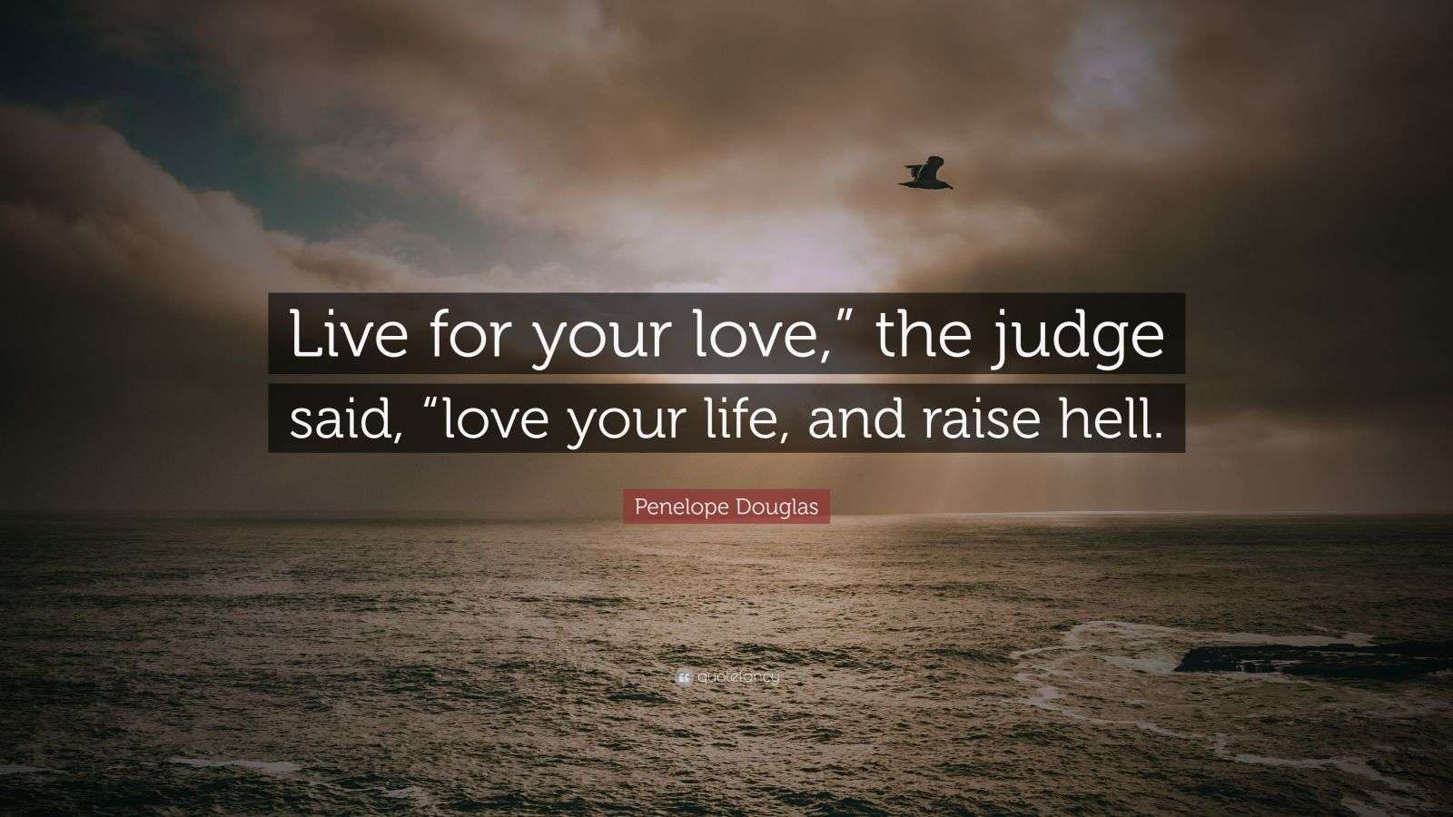 Penelope Douglas Quote “Live for your love,” the judge said, “love