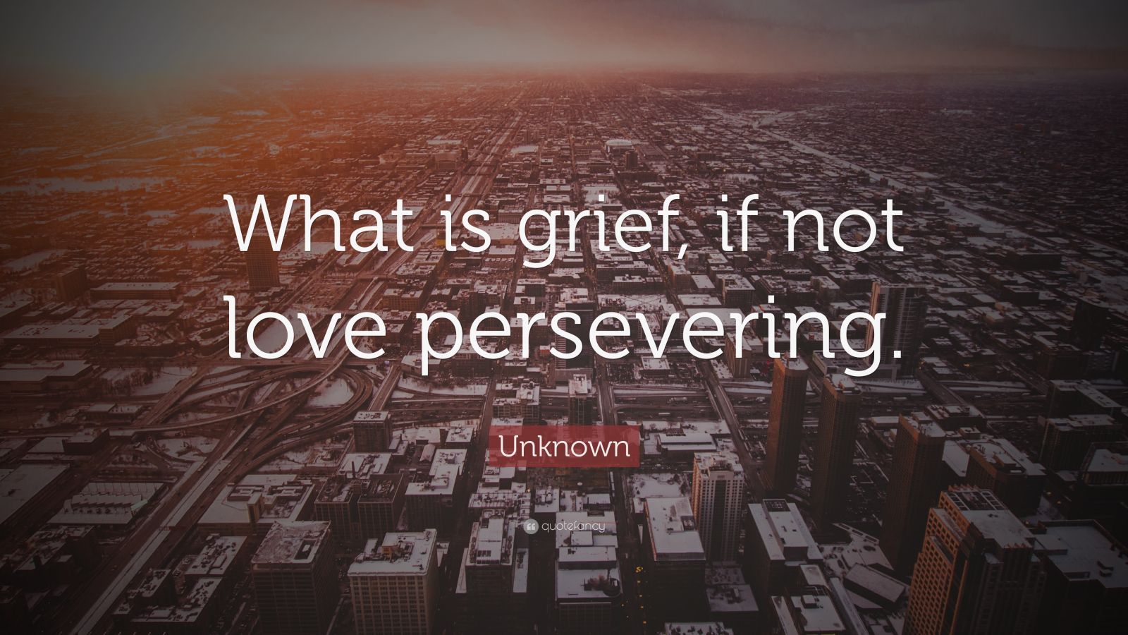 Unknown Quote: “What is grief, if not love persevering.”