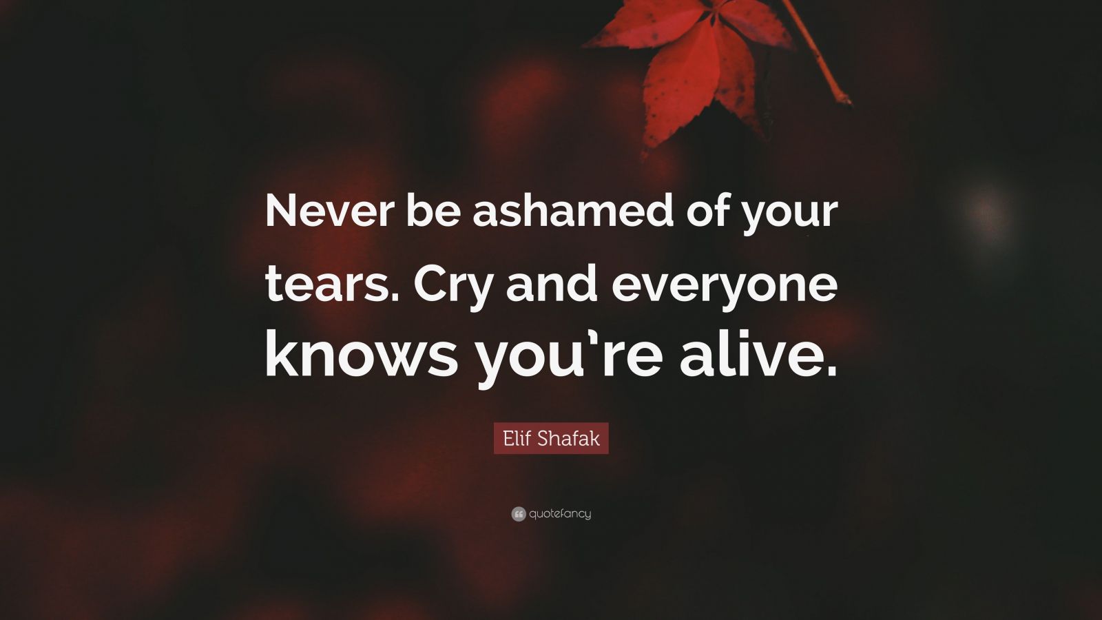 Elif Shafak Quote: “Never be ashamed of your tears. Cry and everyone