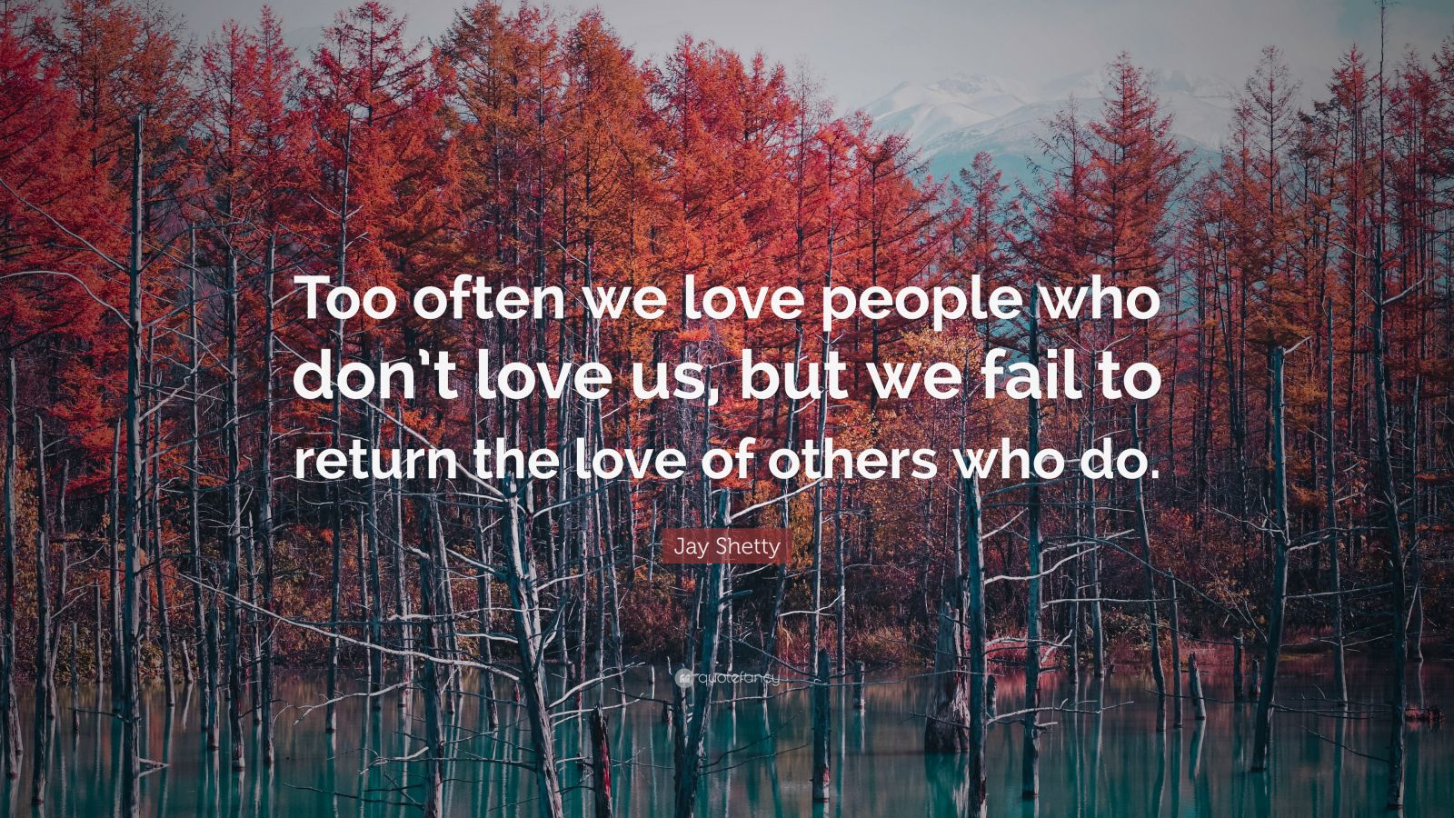 Jay Shetty Quote: “Too often we love people who don’t love us, but we ...