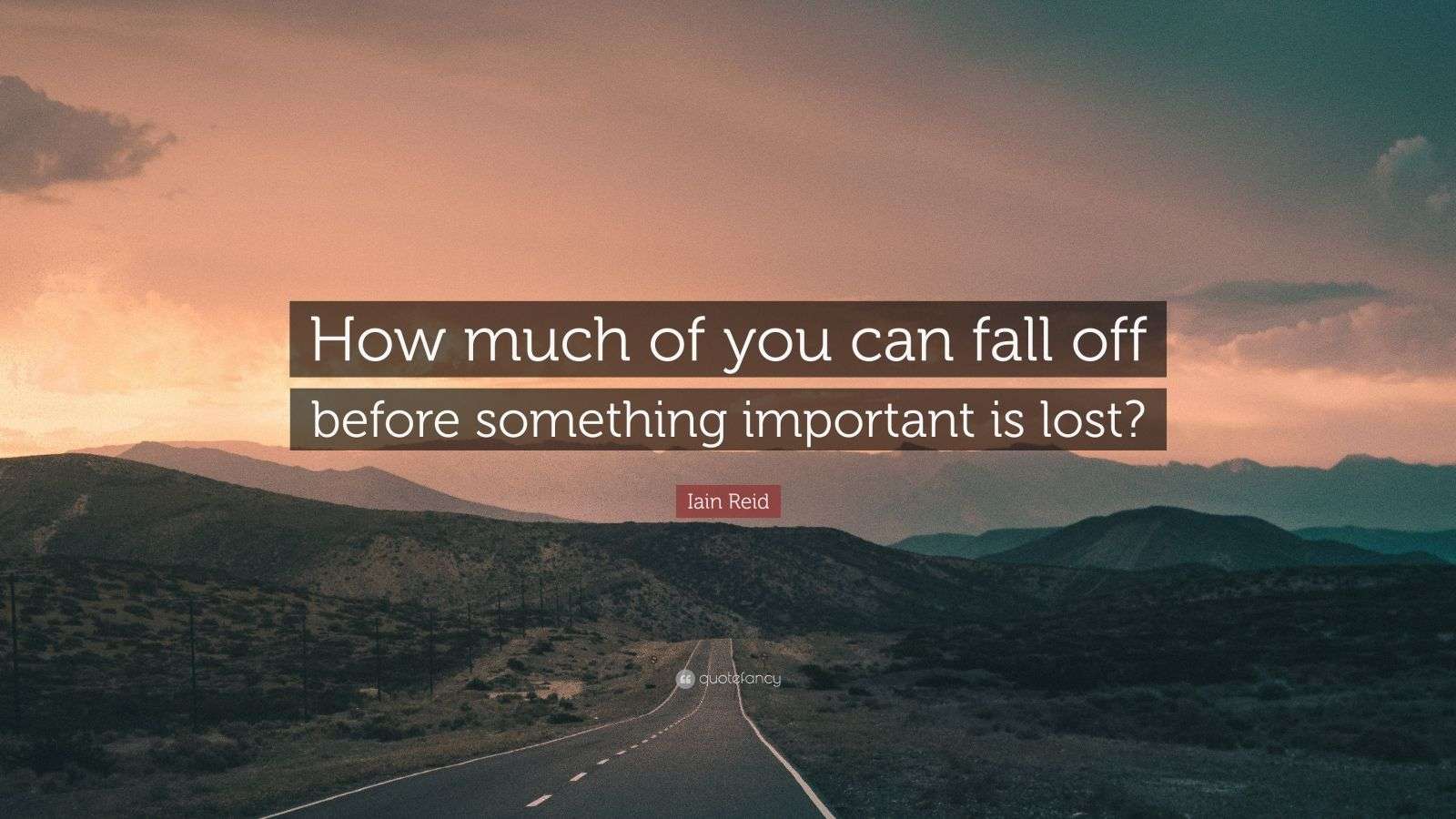 Iain Reid Quote “How much of you can fall off before something important is lost?”