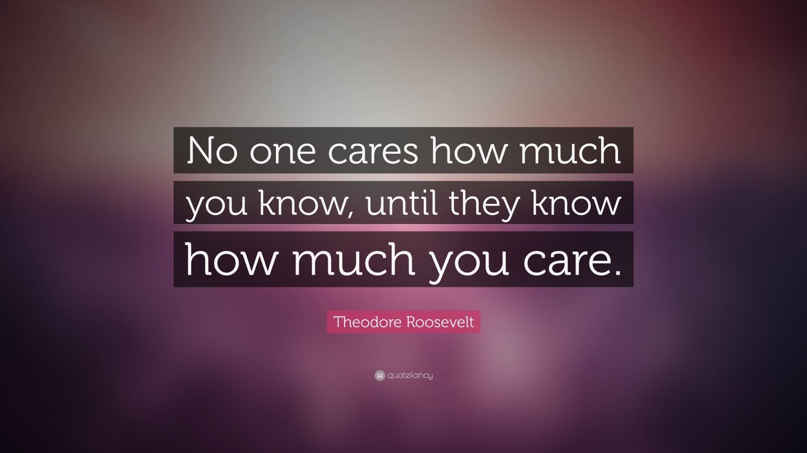 7206 Theodore Roosevelt Quote No one cares how much you know until they