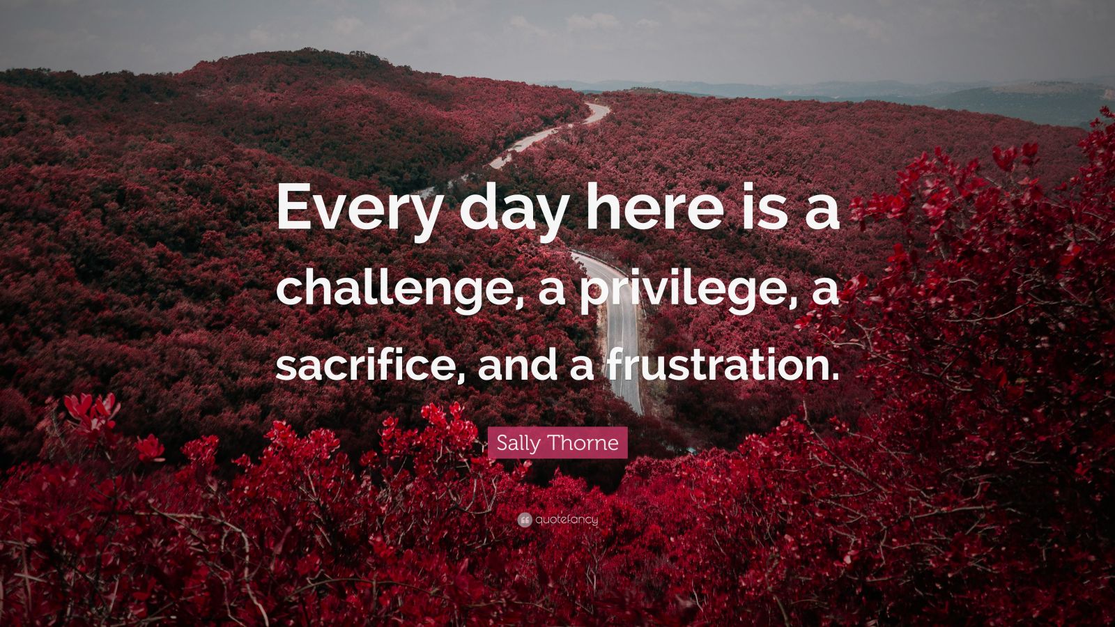 Sally Thorne Quote: “Every day here is a challenge, a privilege, a ...