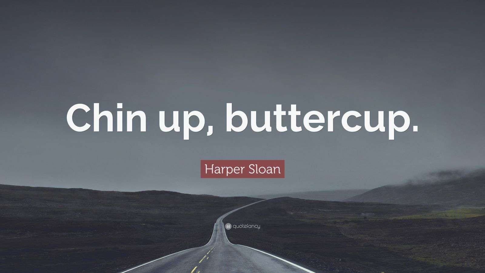 Harper Sloan Quote “Chin up, buttercup.”