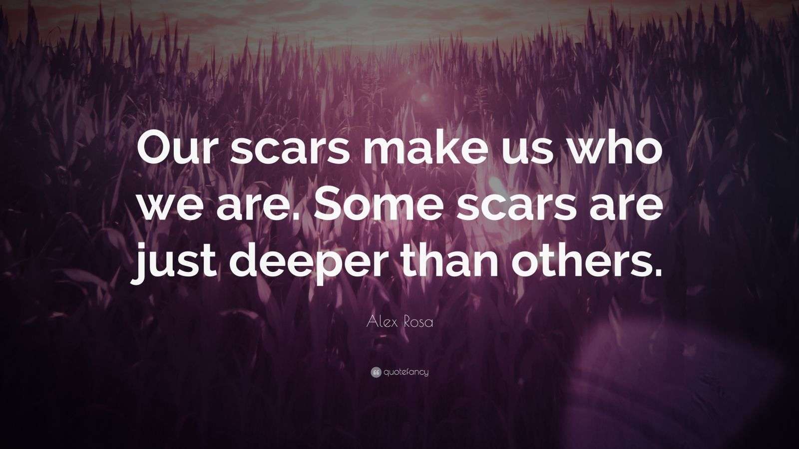 Alex Rosa Quote “Our scars make us who we are. Some scars are just