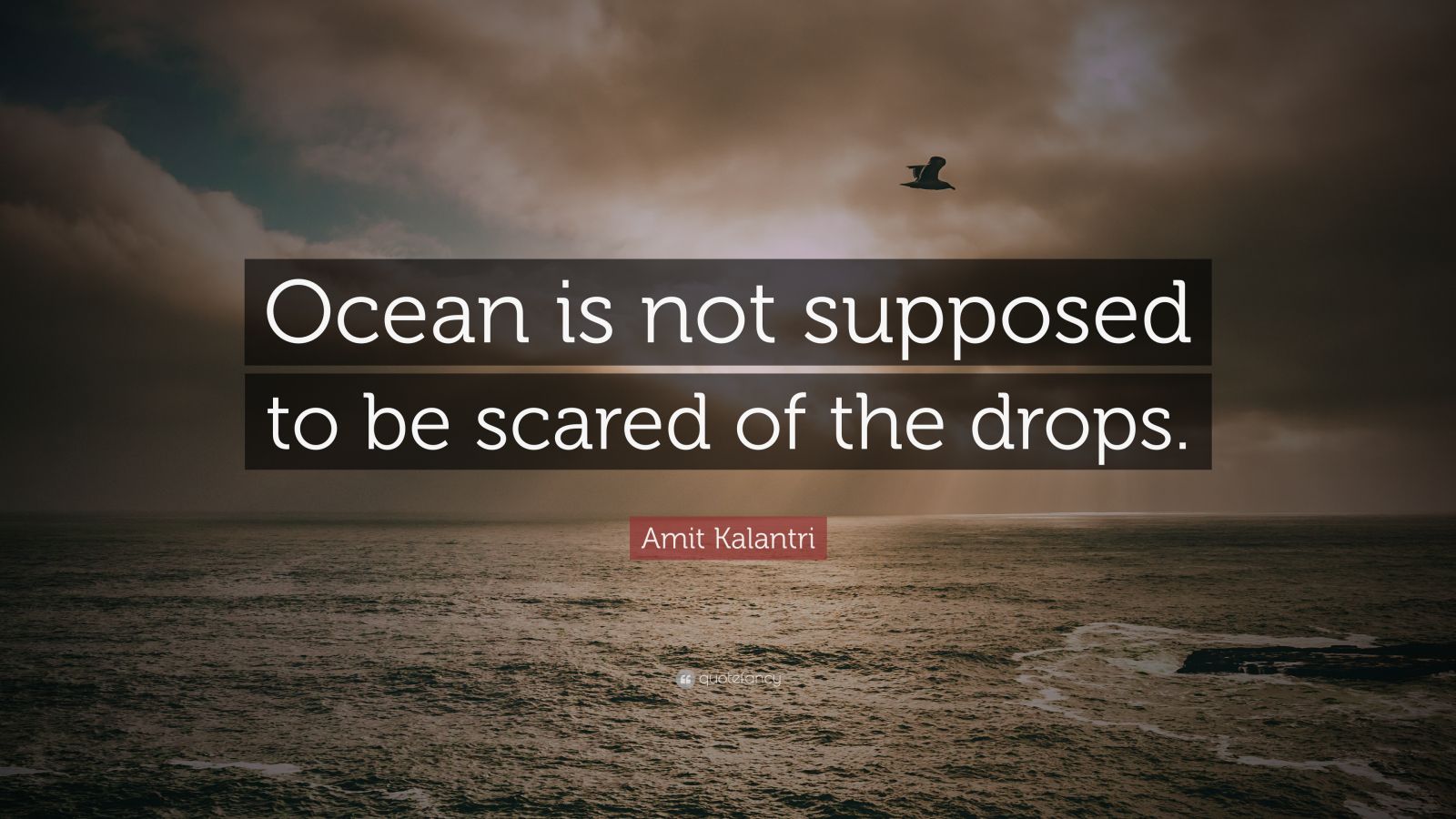 Amit Kalantri Quote: “Ocean is not supposed to be scared of the drops.”