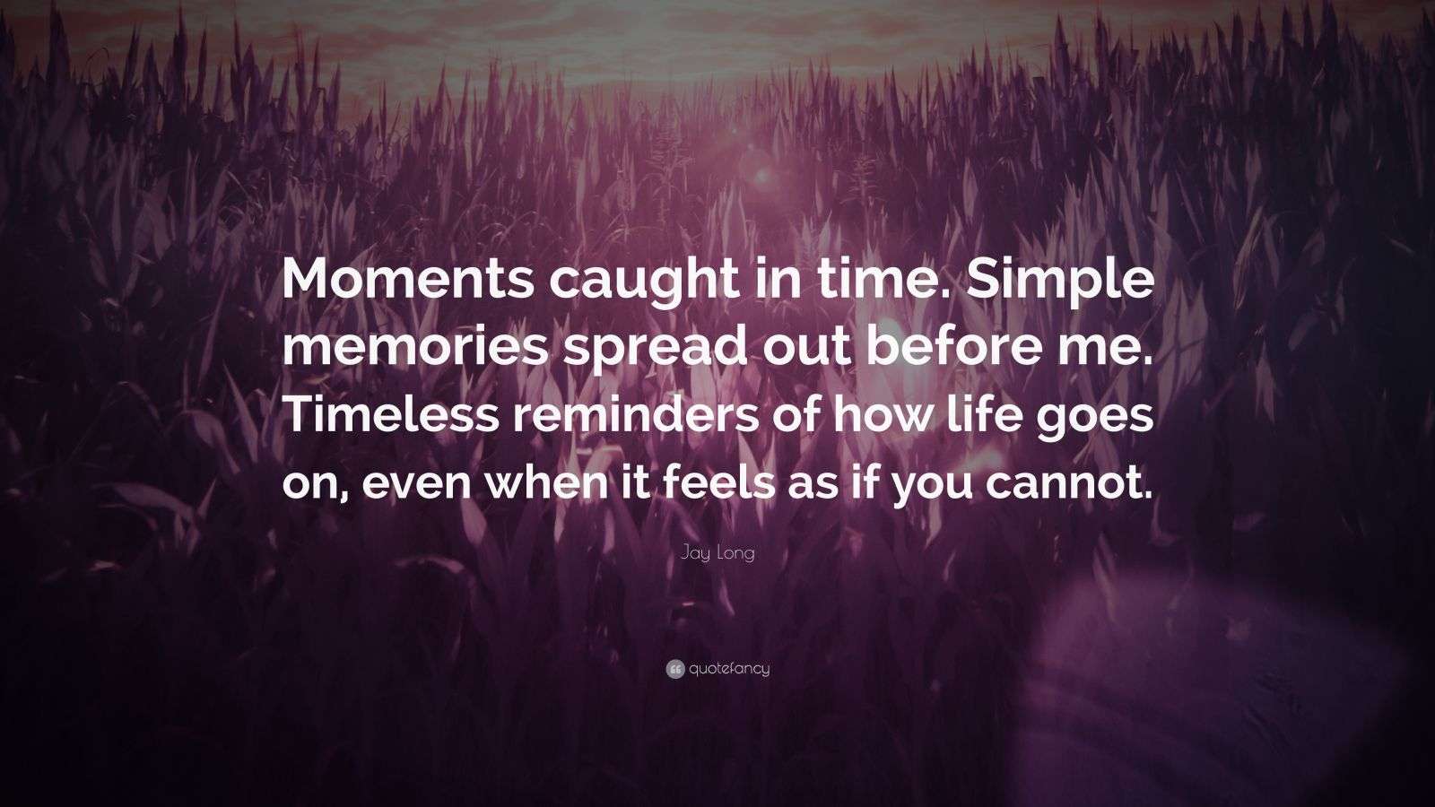 Jay Long Quote “Moments caught in time. Simple memories spread out