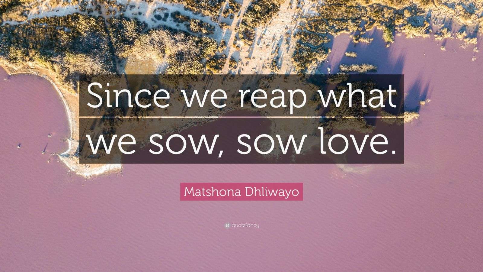 Matshona Dhliwayo Quote “Since we reap what we sow, sow love.”