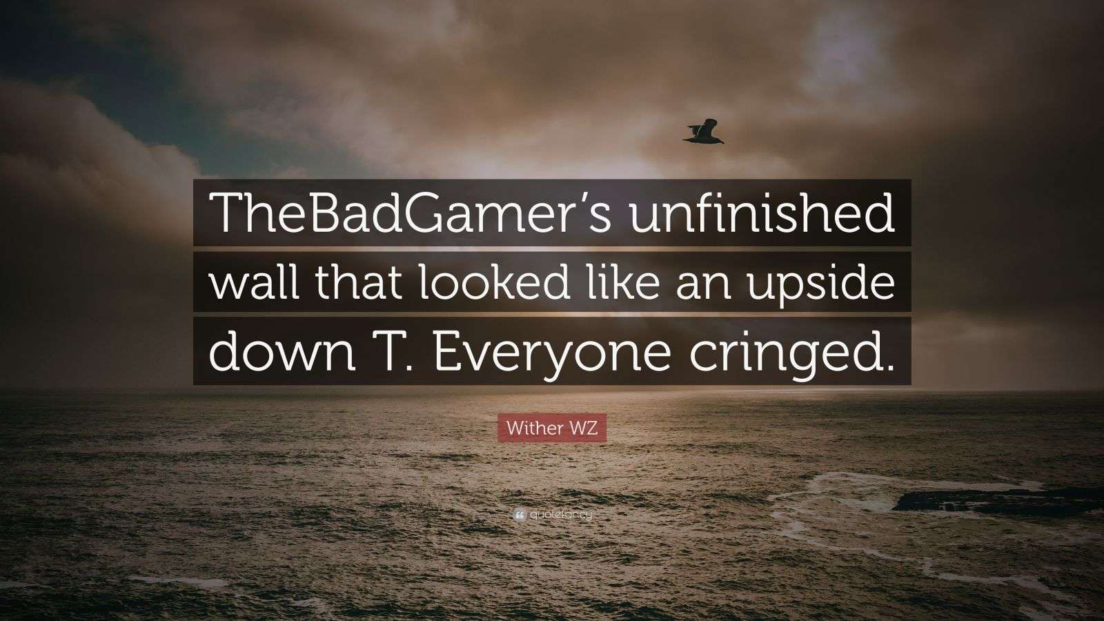 Wither WZ Quote “TheBadGamer’s unfinished wall that looked like an