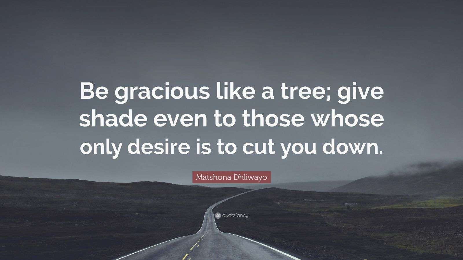 Matshona Dhliwayo Quote “Be gracious like a tree; give shade even to