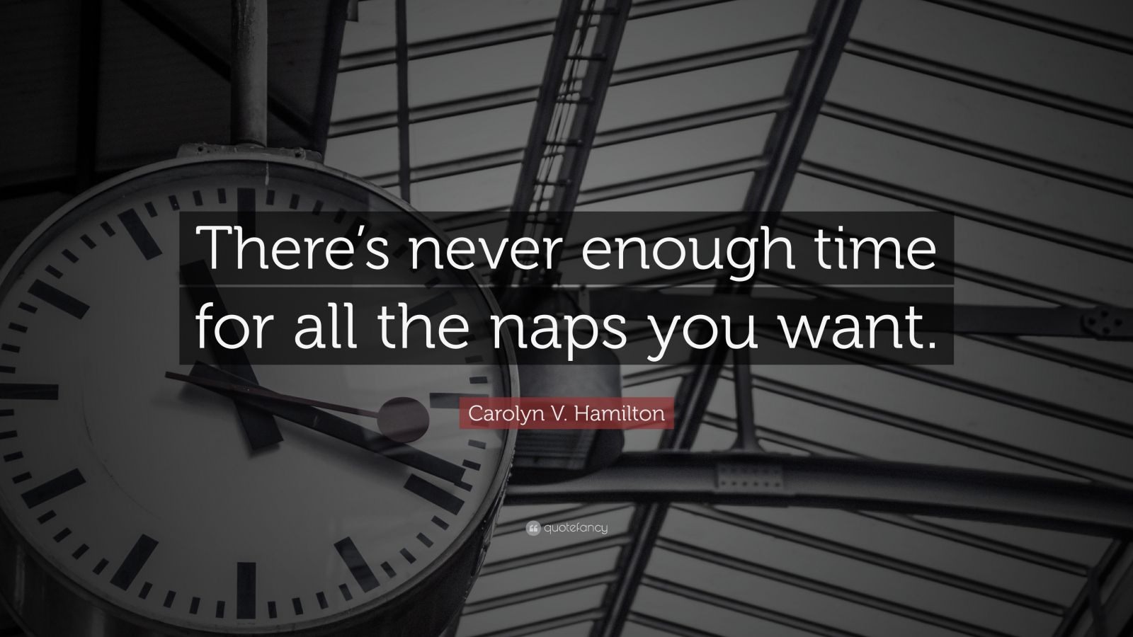 Carolyn V. Hamilton Quote: “There’s never enough time for all the naps ...