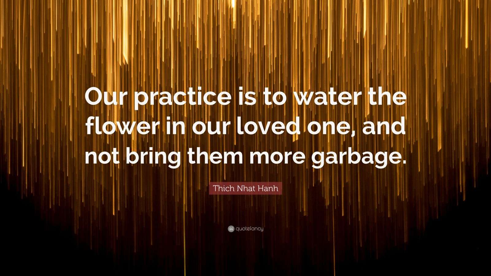 Thich Nhat Hanh Quote “Our practice is to water the flower in our