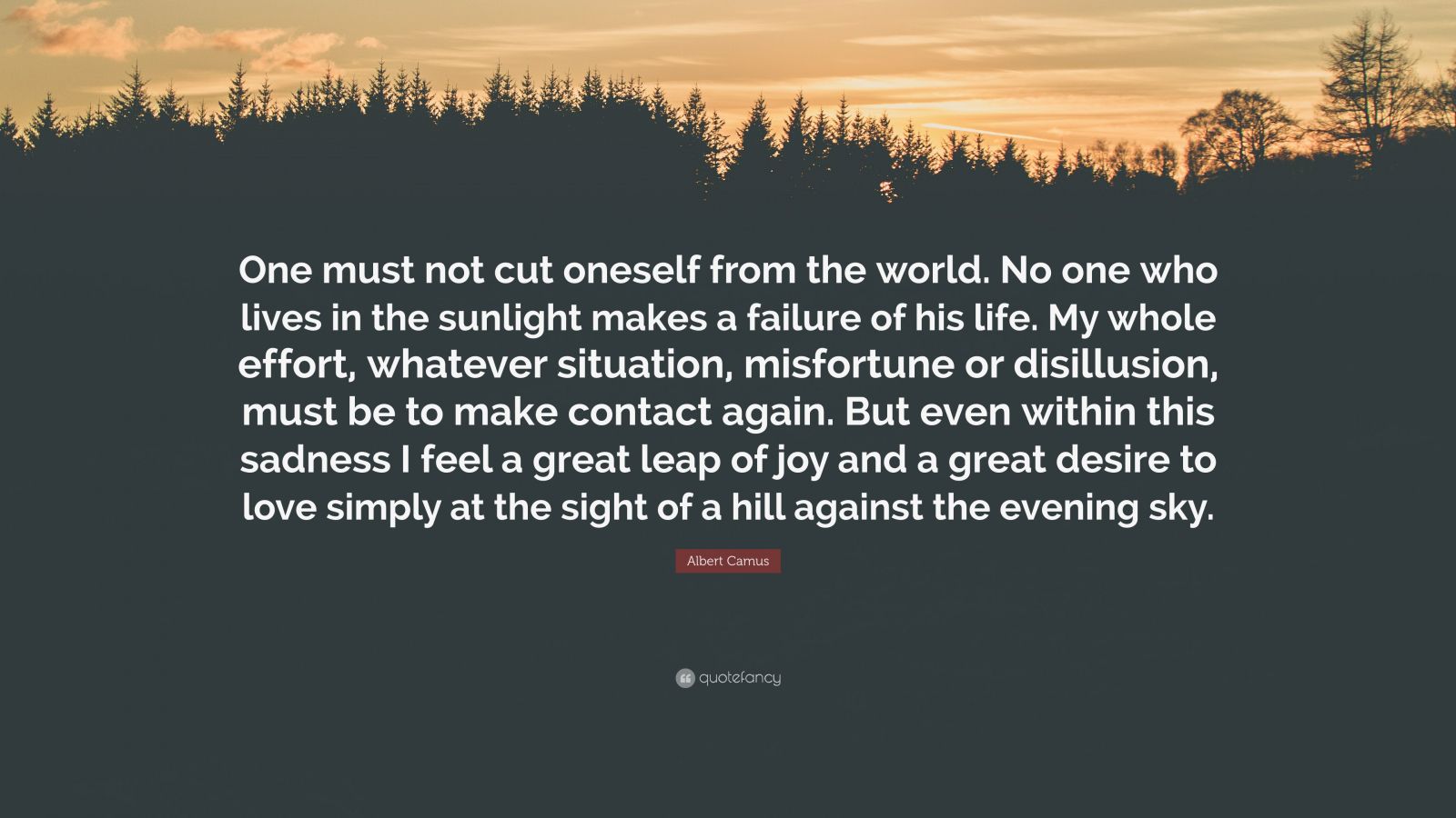 Albert Camus Quote: “One must not cut oneself from the world. No one ...