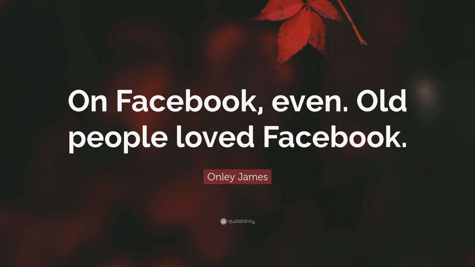 Onley James Quote: “On Facebook, even. Old people loved Facebook.”, image size:1600x900
