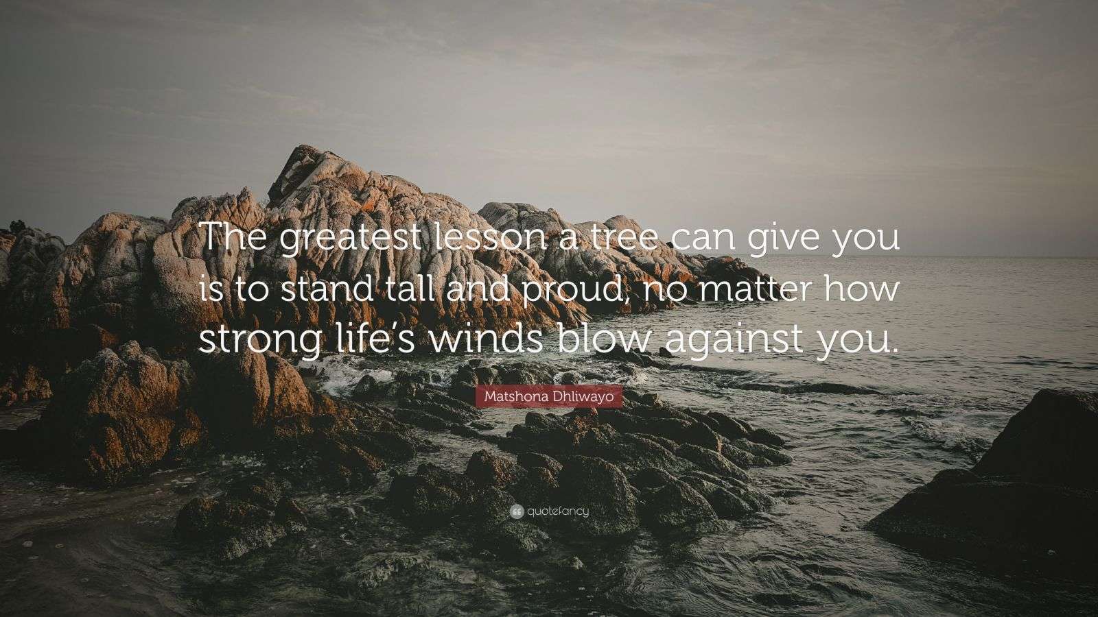 Matshona Dhliwayo Quote: “The greatest lesson a tree can give you is to ...