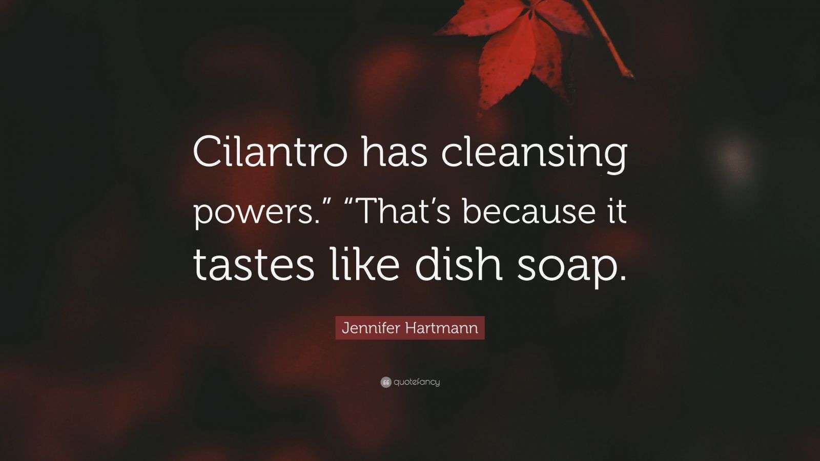 Jennifer Hartmann Quote “Cilantro has cleansing powers.” “That’s