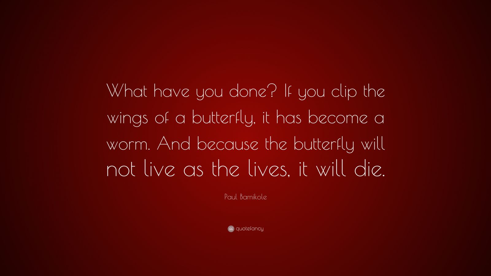 Paul Bamikole Quote: “What have you done? If you clip the wings of a ...