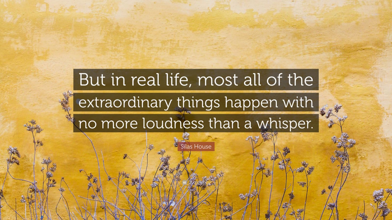 Silas House Quote: “But in real life, most all of the extraordinary ...