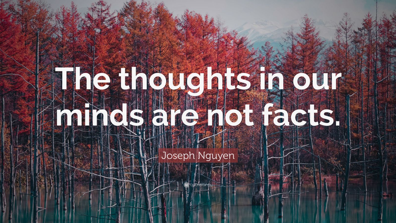 Joseph Nguyen Quote: “The thoughts in our minds are not facts.”