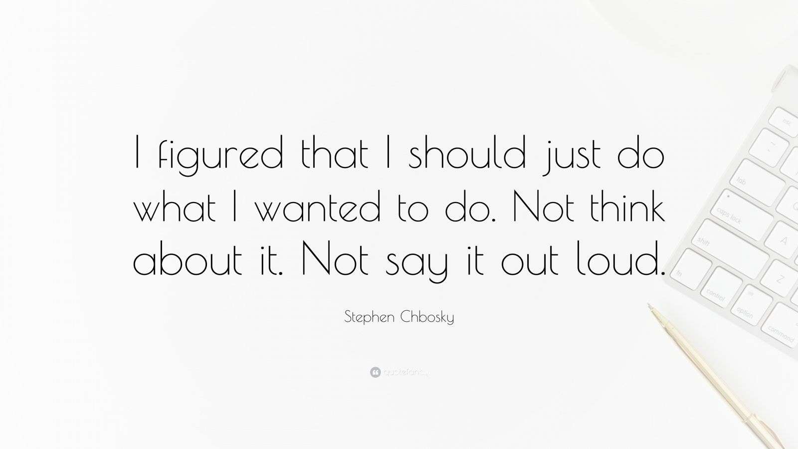 Stephen Chbosky Quote: “I figured that I should just do what I wanted ...